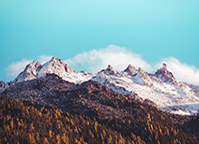 开云官网-前总裁起诉申通快递，要求分得前妻名下2028万股股权